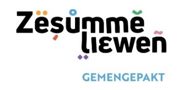 the icon logo of Commune de Schifflange